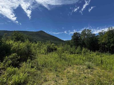 272 Twenty Acre Wood