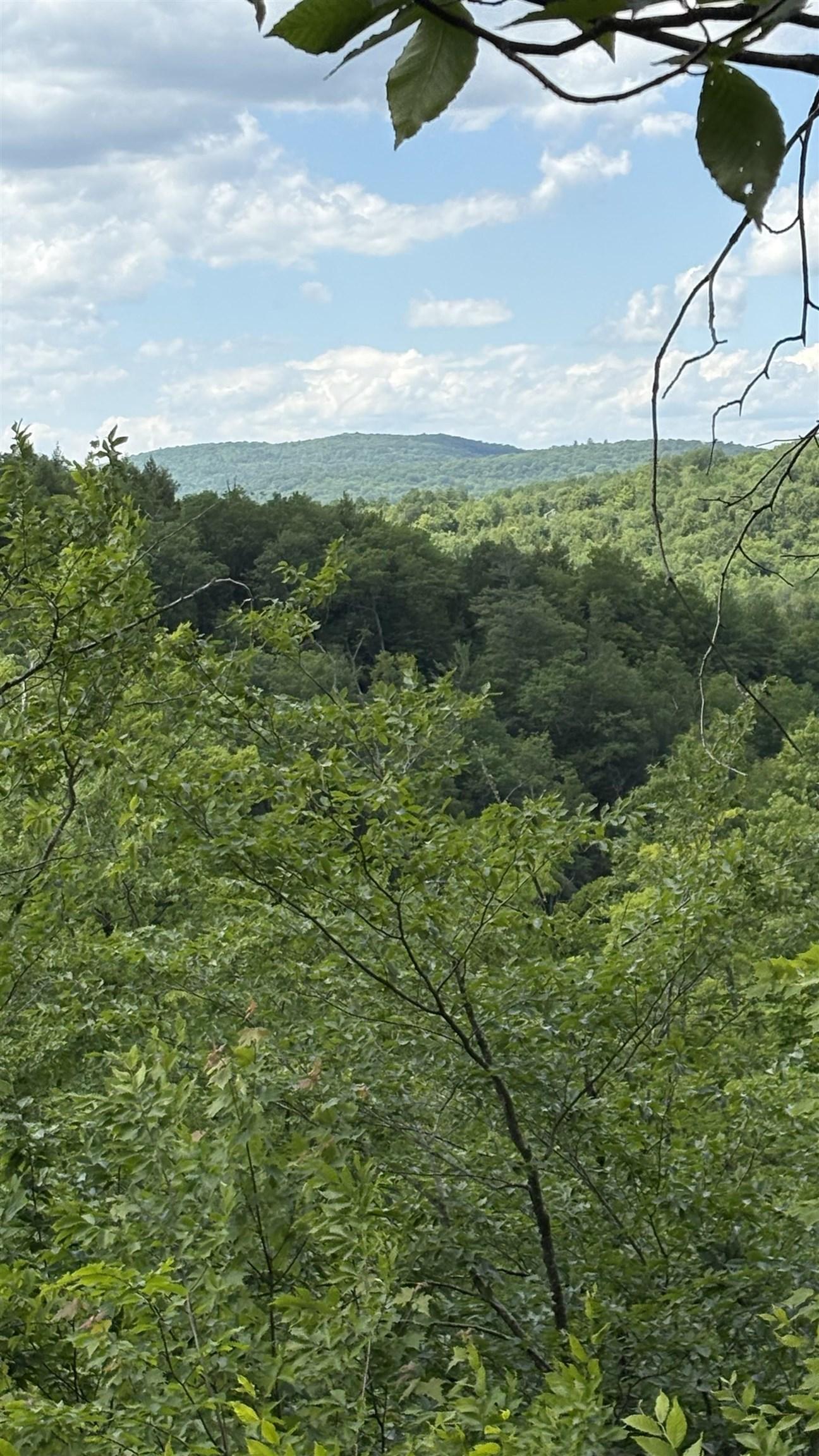 Image 4 Image 4