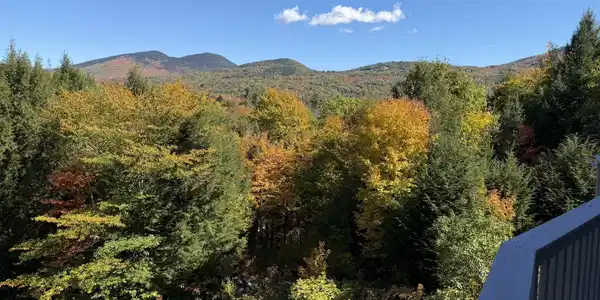 Image 4: Foliage Season is here!