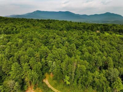 Lot 4 Piney Grove Lane