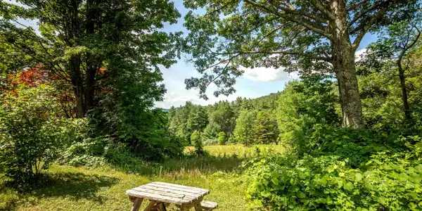 Image 4: Property Vista