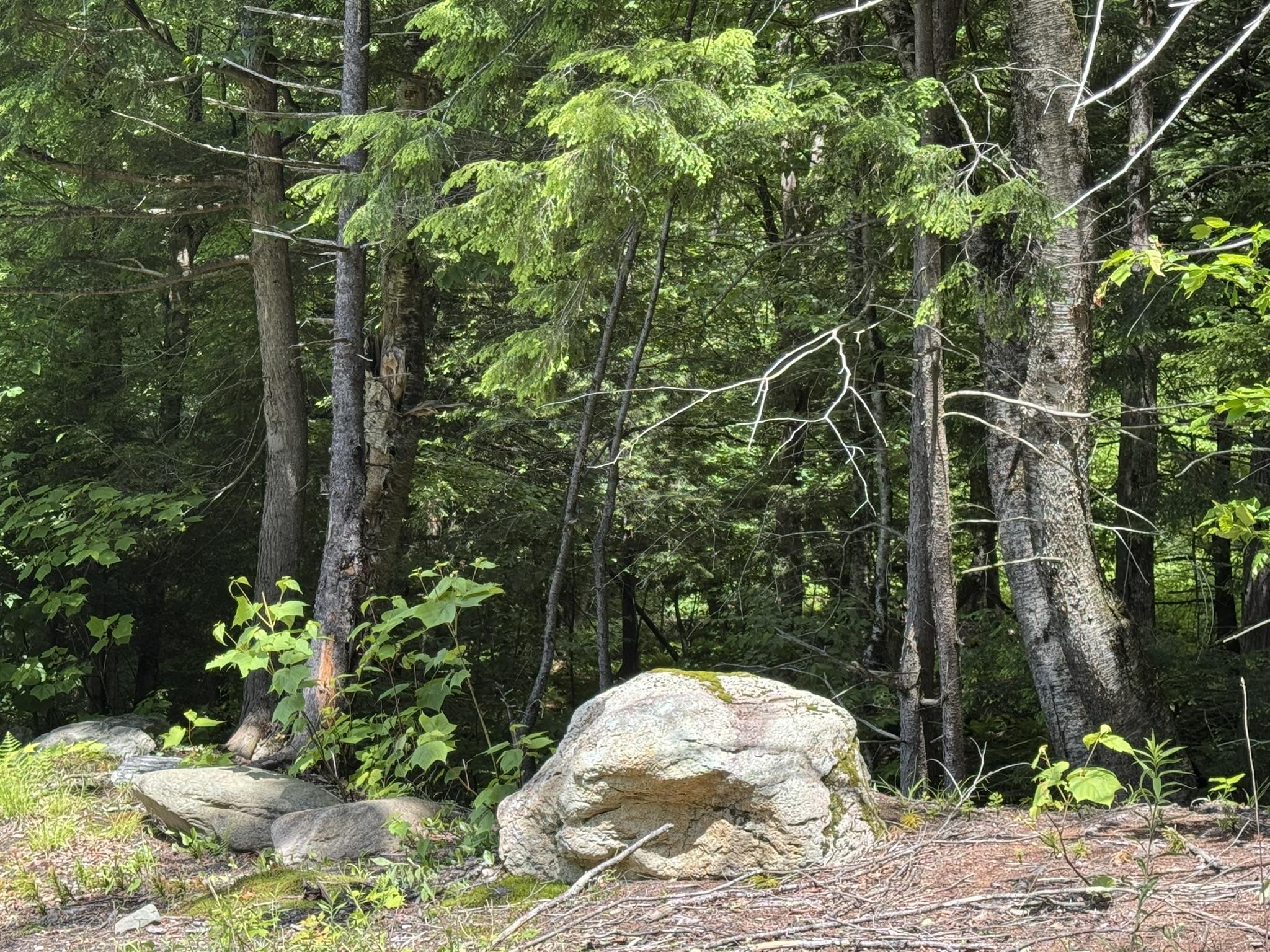 Image 4 Image 4