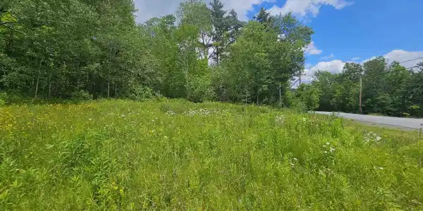 24 Lower Highlands Road