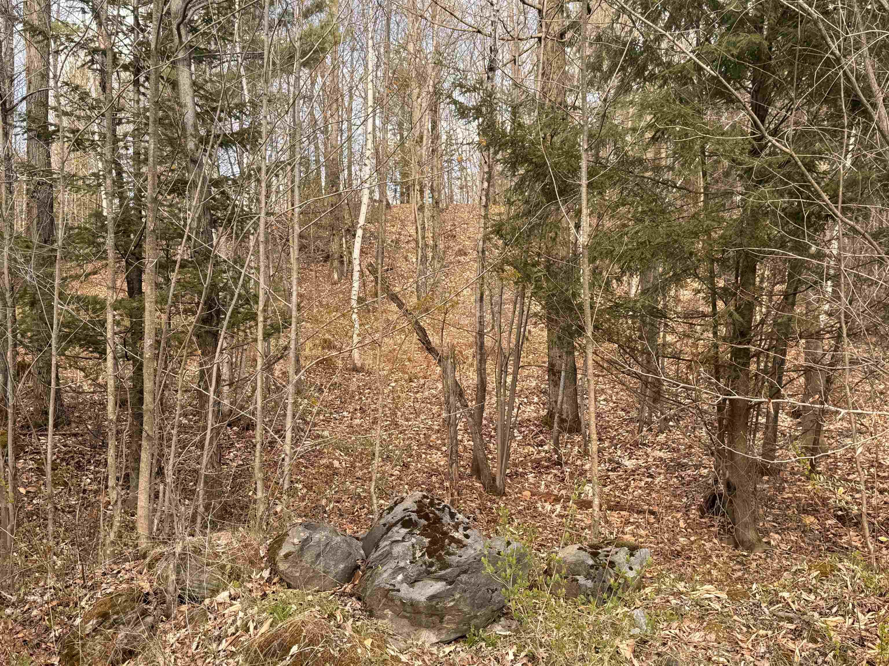 Image 4 Image 4