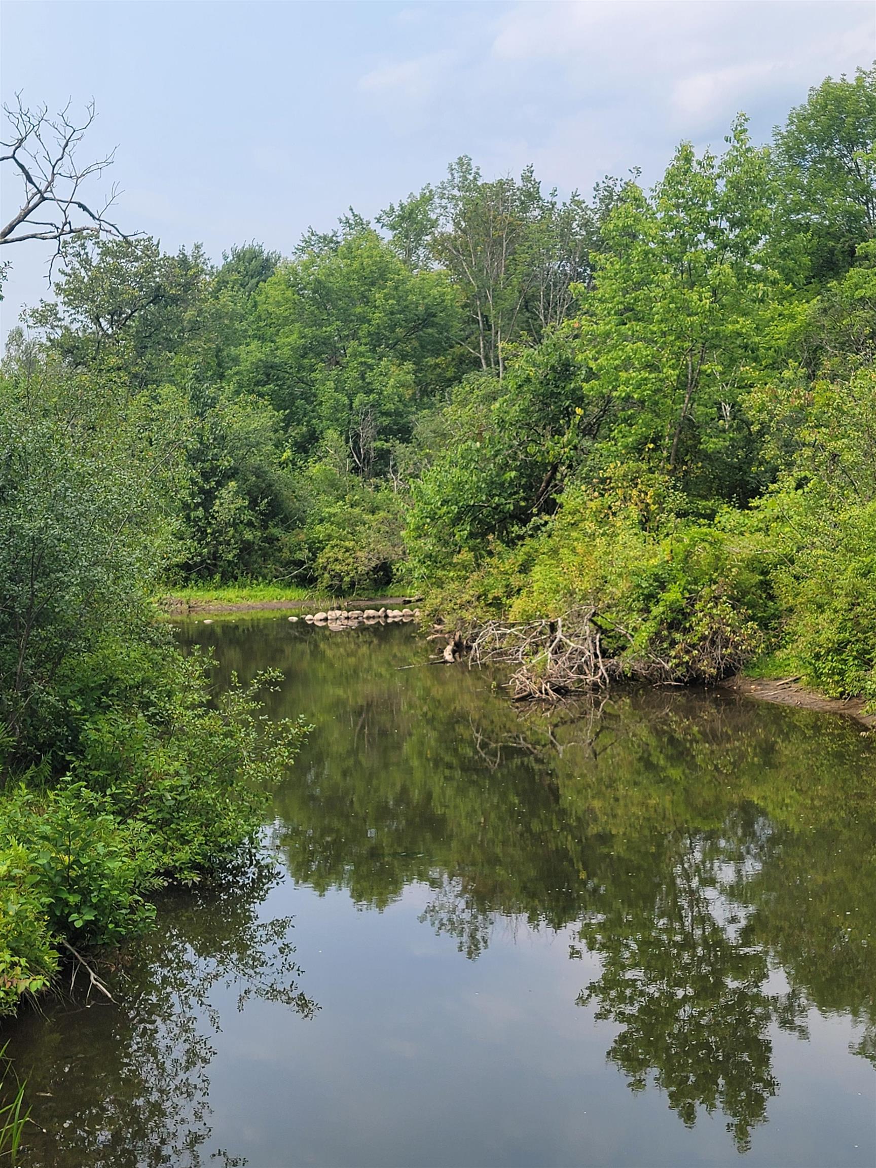 Image 2: From the Greenberg Head Water Bridge Image 2: From the Greenberg Head Water Bridge