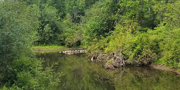 Image 2: From the Greenberg Head Water Bridge