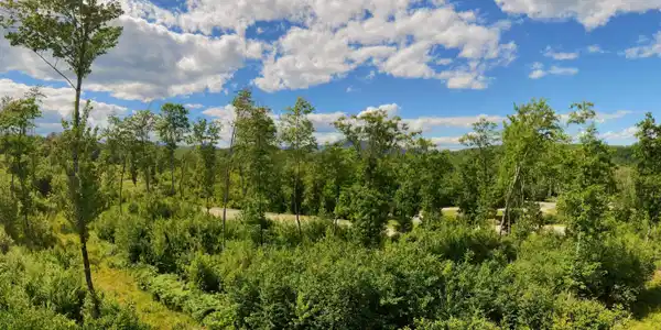 Image 3: Mt. Chocorua hides in plain sight Image 3: Mt. Chocorua hides in plain sight