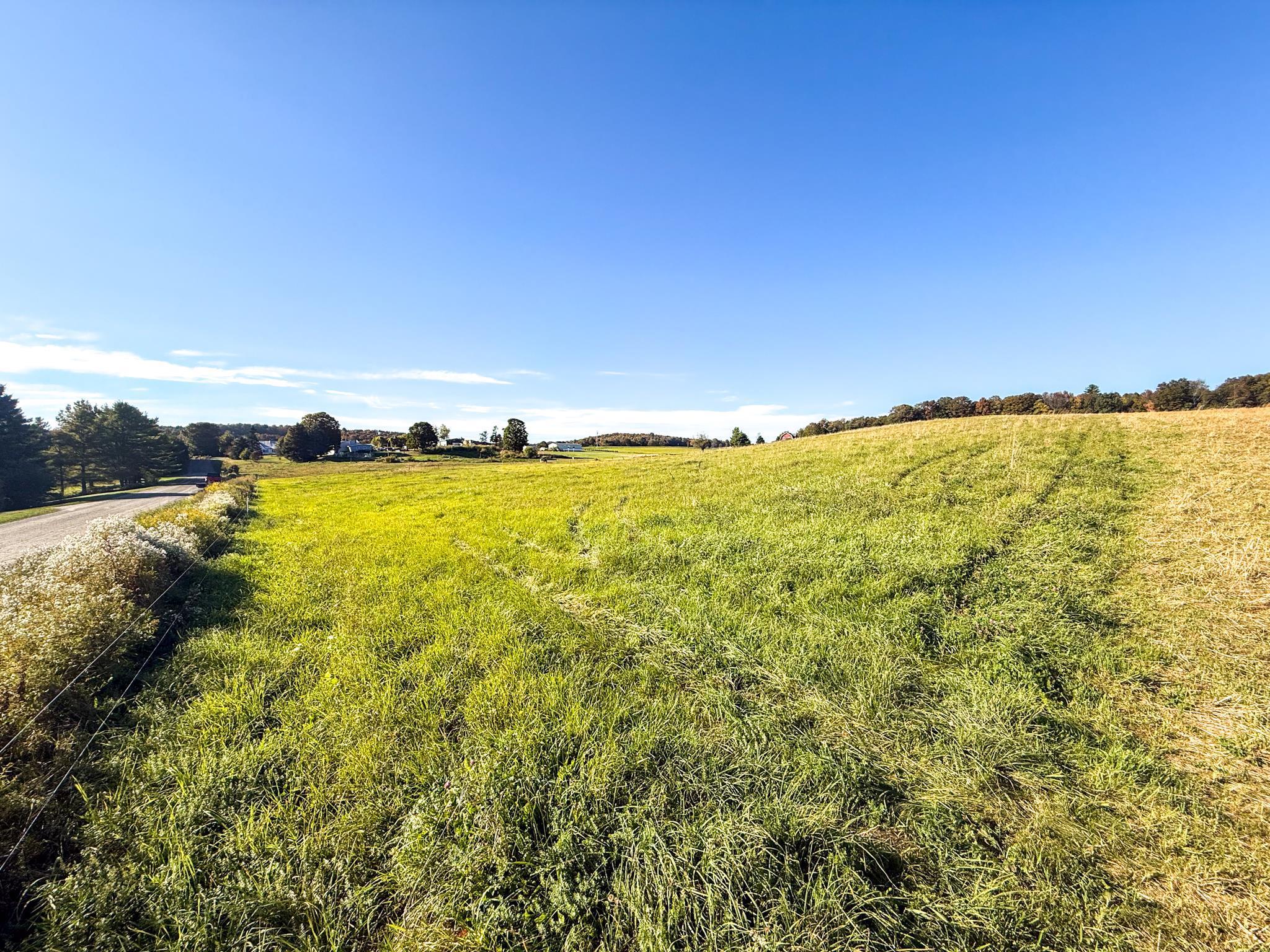 Image 1 Image 1