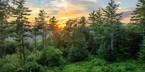 00 Pinnacle Ridge Road