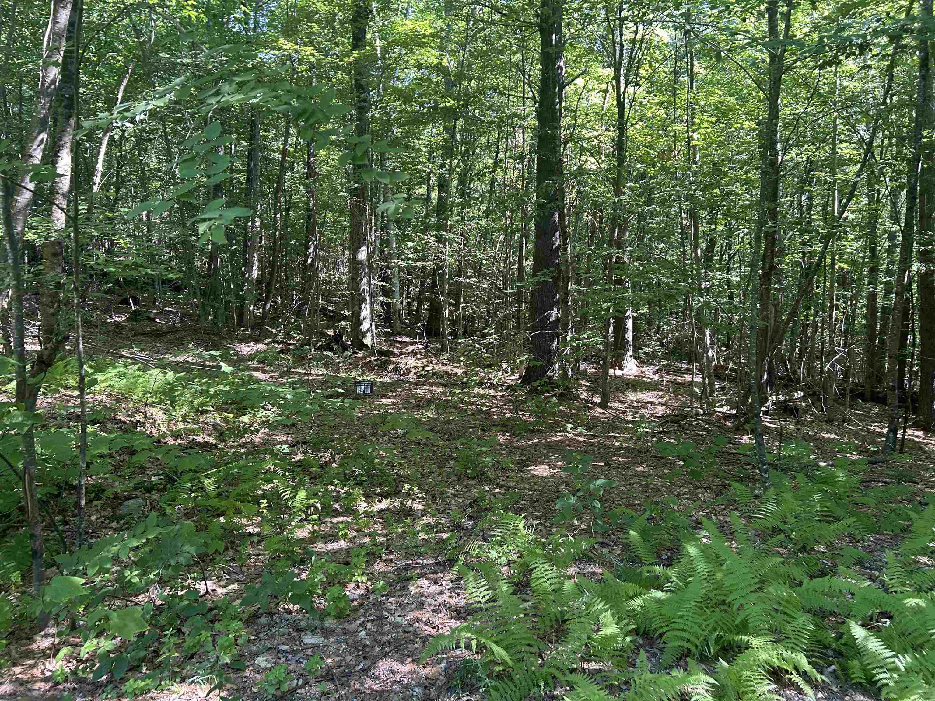 Image 3 Image 3
