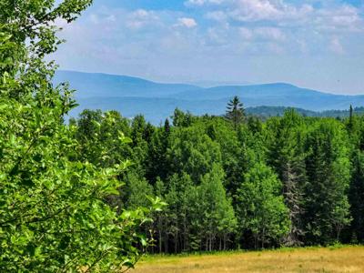 330 Old Stage Coach Road