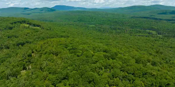 Image 2 Image 2