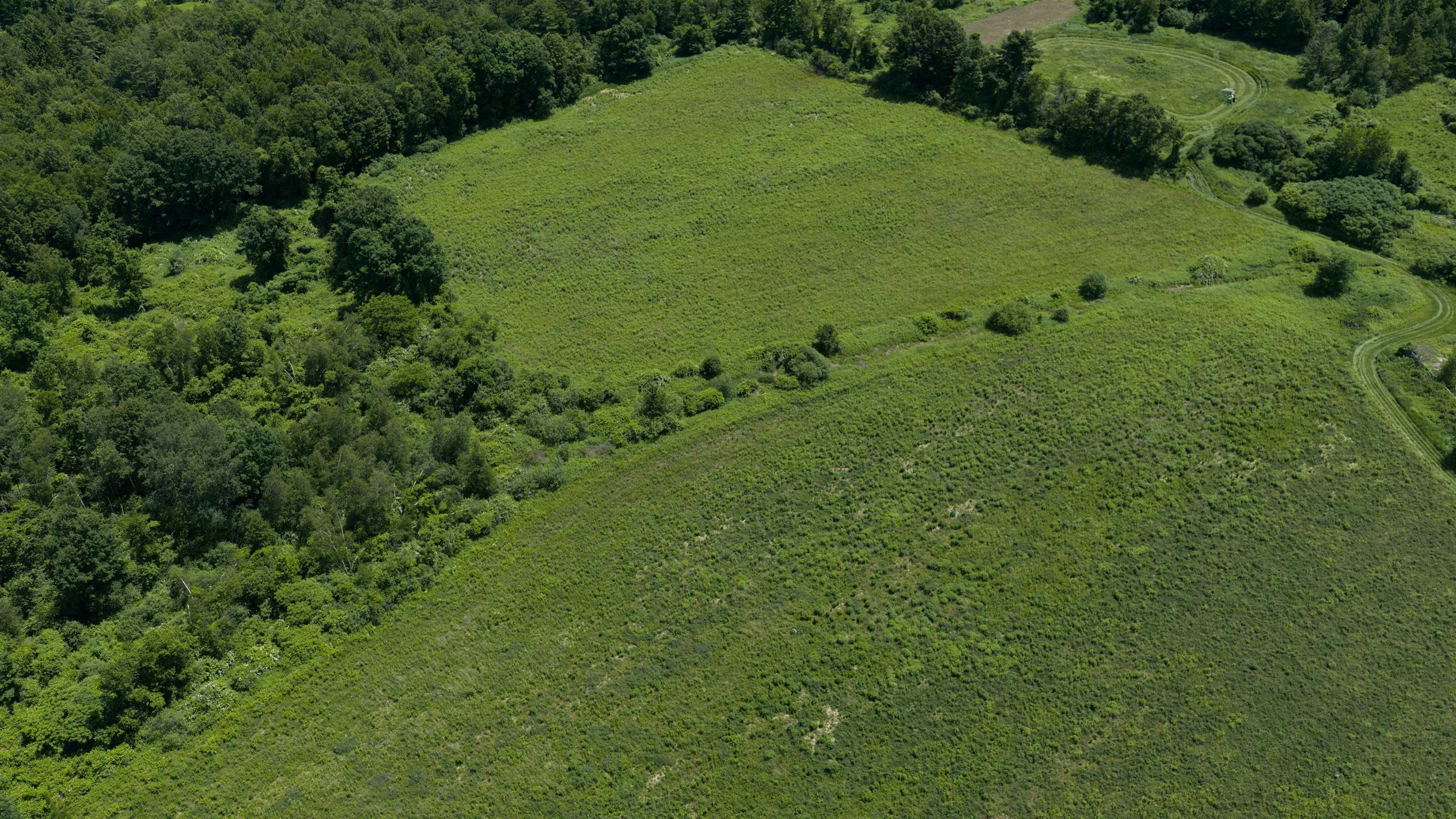 Image 3 Image 3