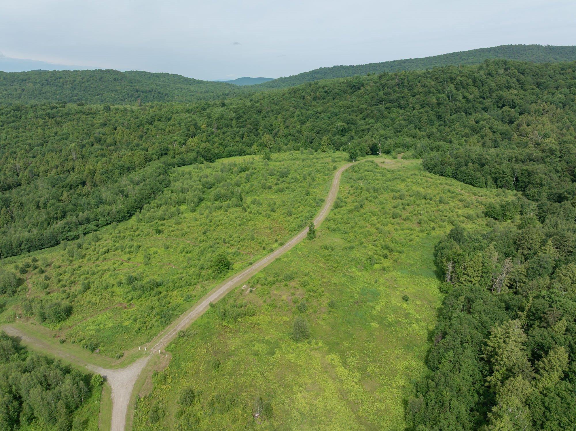 Image 1 Image 1