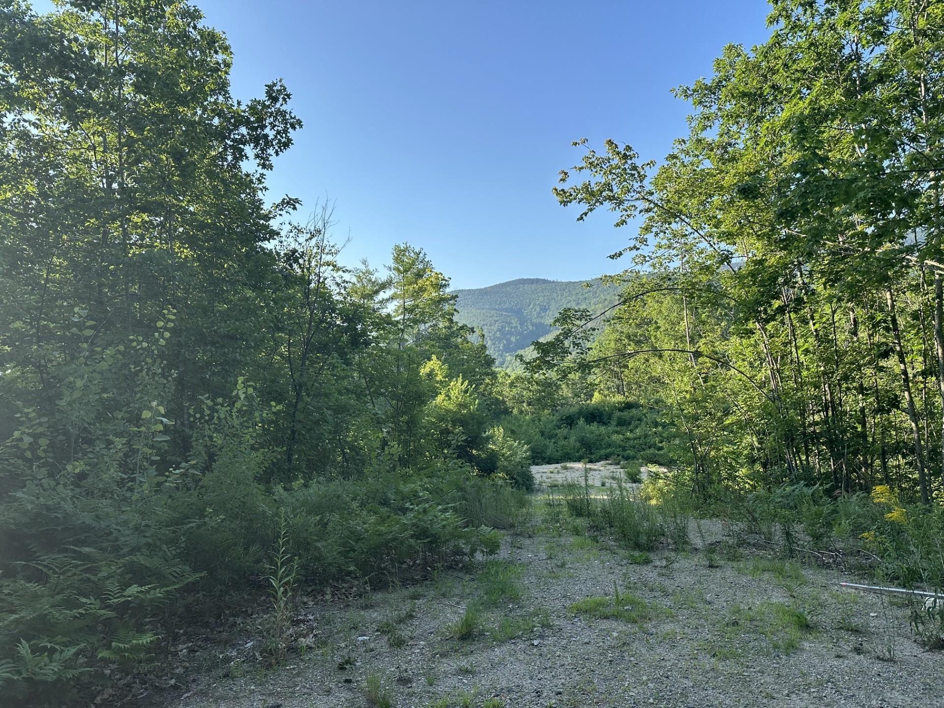 Image 4 Image 4