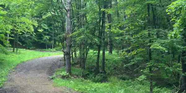 Image 2: The driveway to home