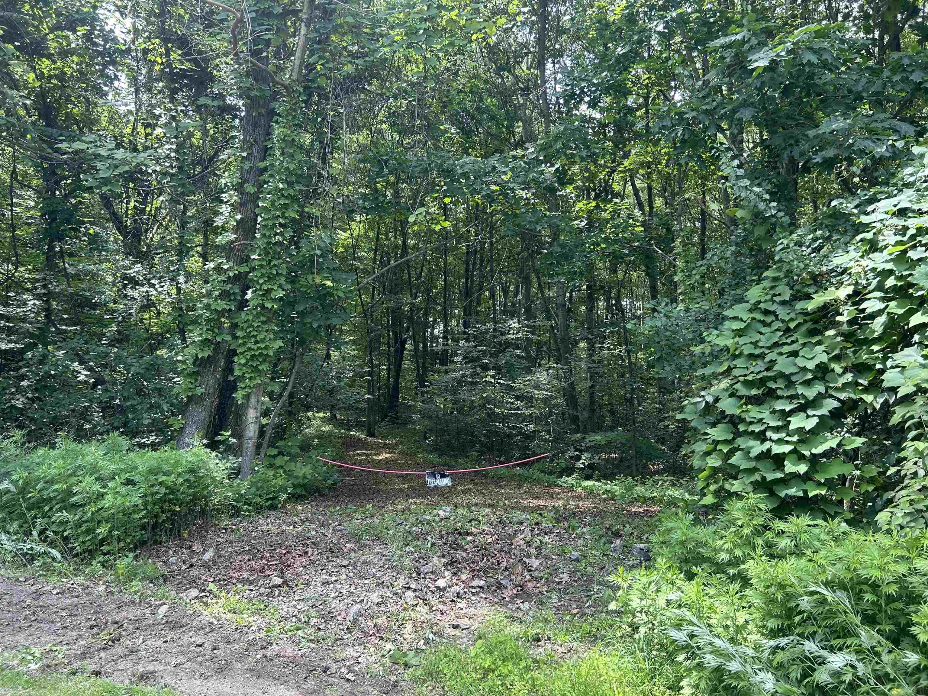 Image 4 Image 4