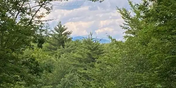Image 2: Mt Kearsarge View