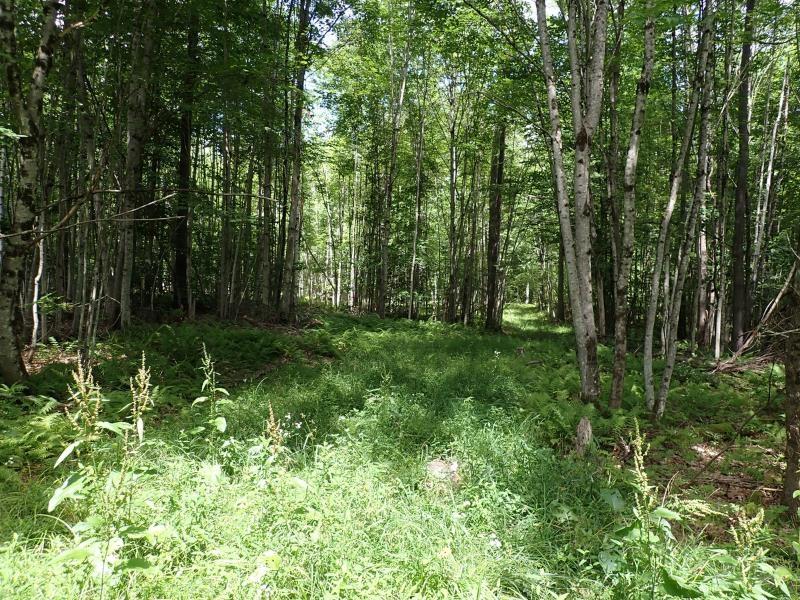 Image 3 Image 3