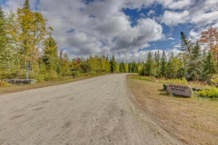 00 McKenzie Woods Road