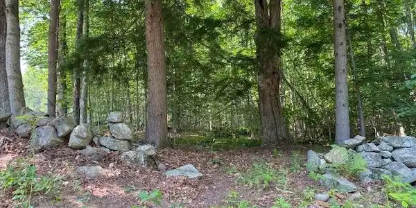 Image 3: Old stone walls