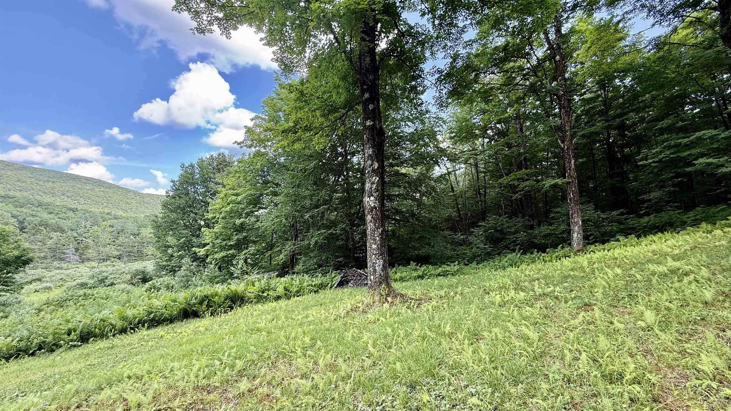Image 4 Image 4