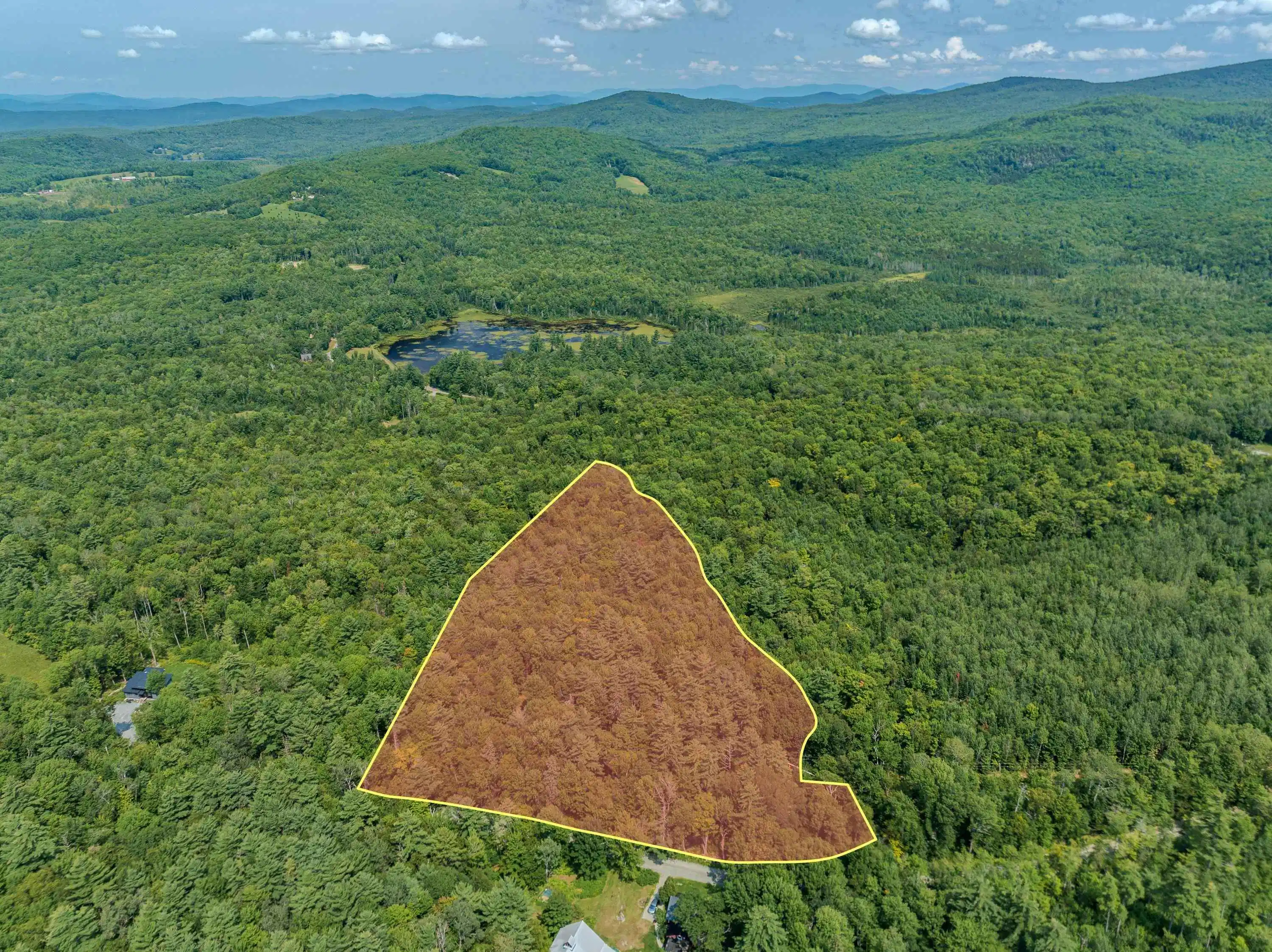 Image 1 Image 1