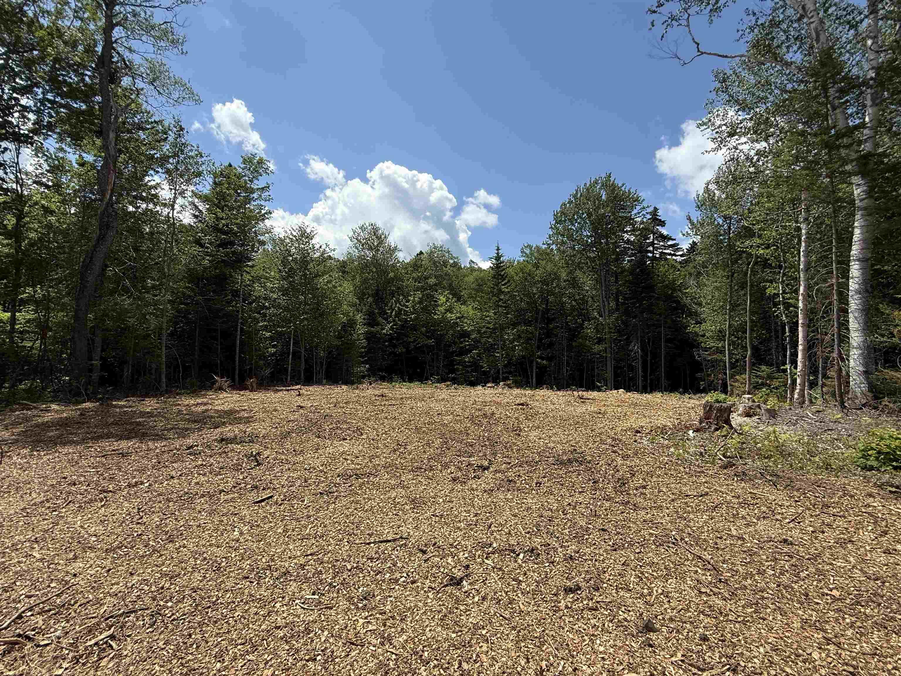 Image 4 Image 4
