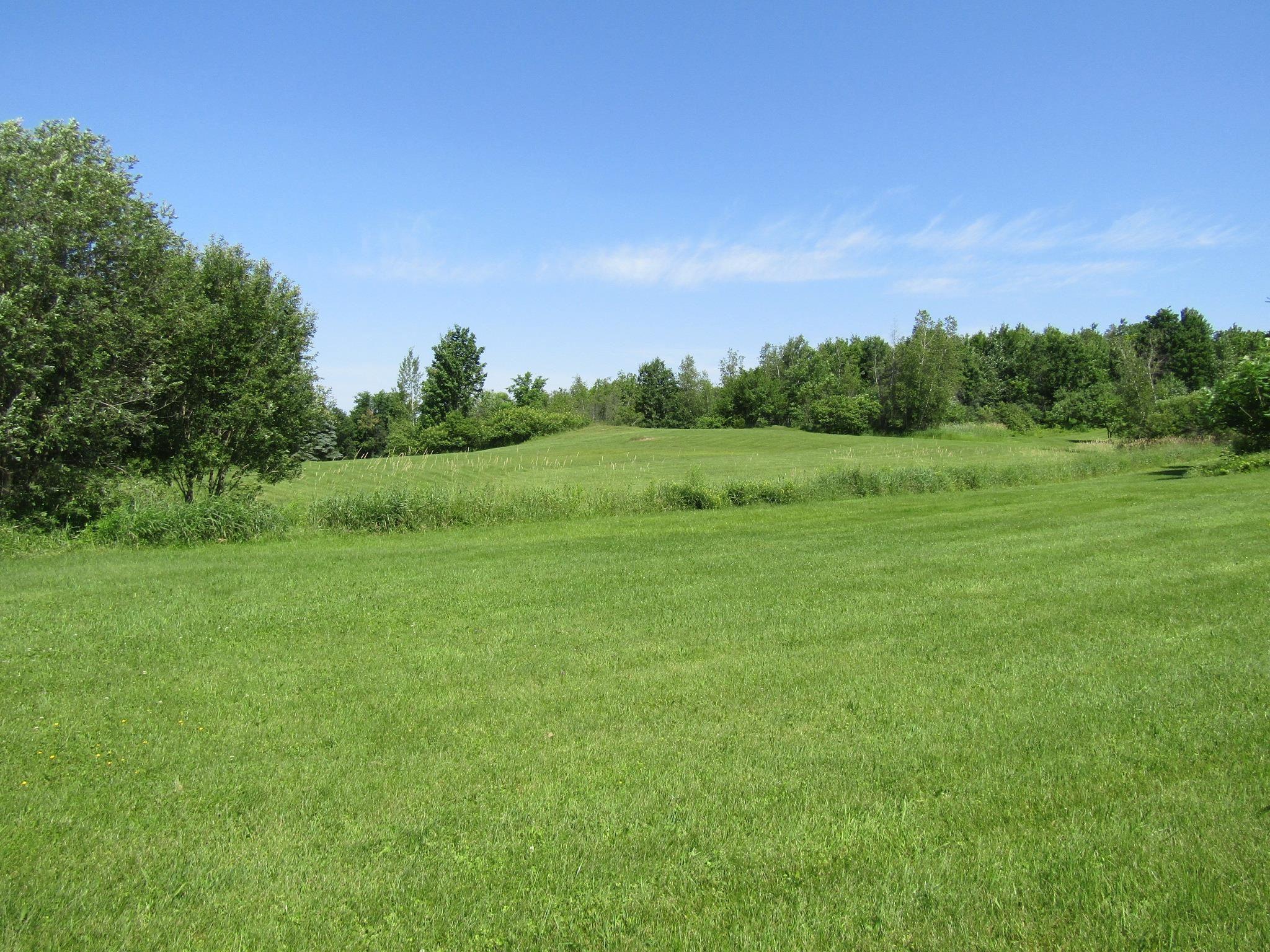 Image 4 Image 4