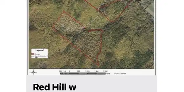 Image 2 Image 2