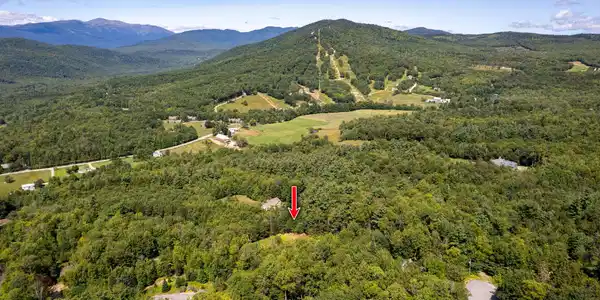 54 Lower Highlands Road