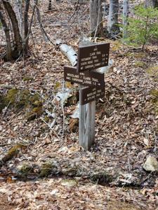 0 Clarks/Woodland Trail