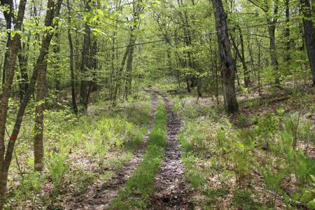 00 Long Hill Road