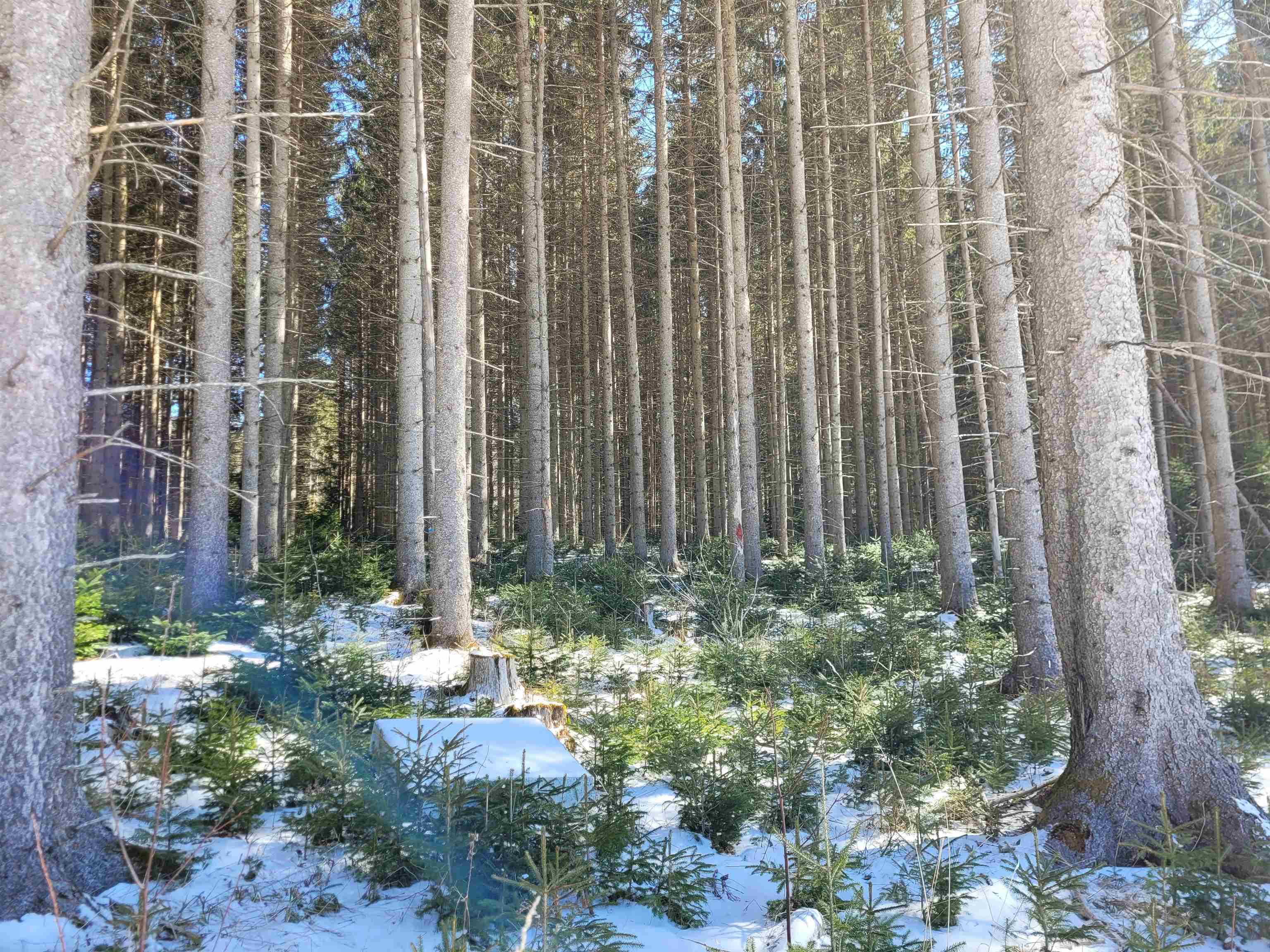 Image 1 Image 1