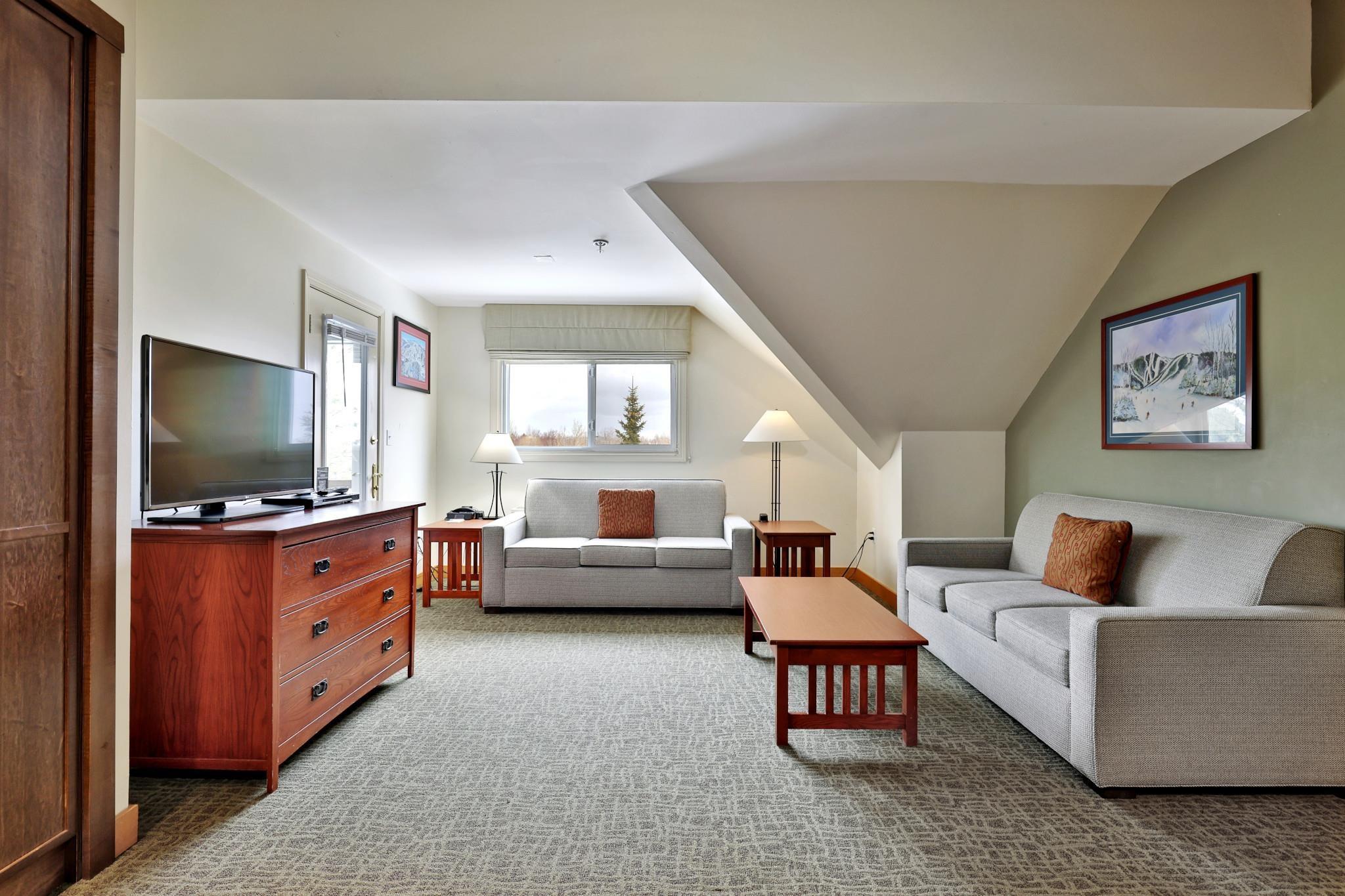 Image 3: Living Room with Sleep Sofa