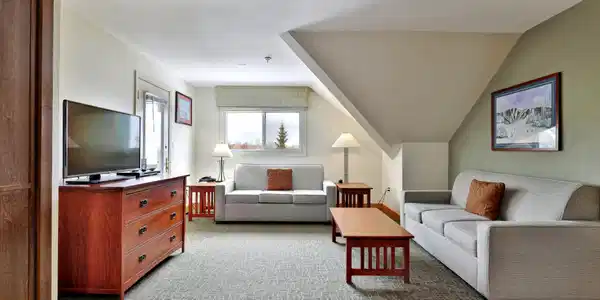 Image 3: Living Room with Sleep Sofa