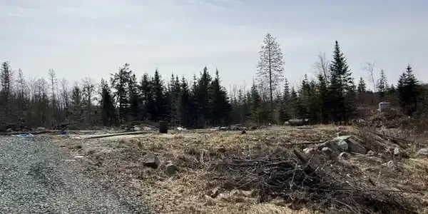 Image 4 Image 4