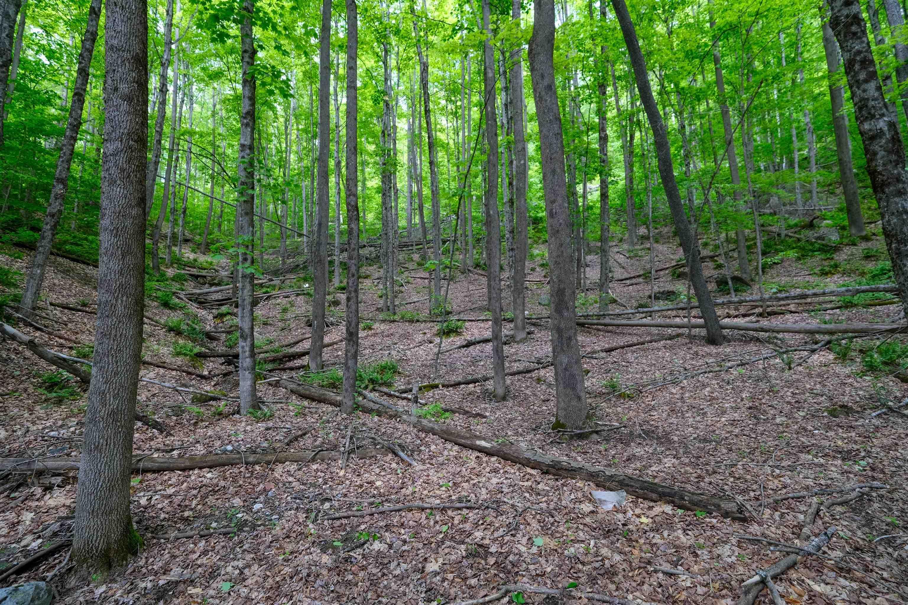 Image 3 Image 3