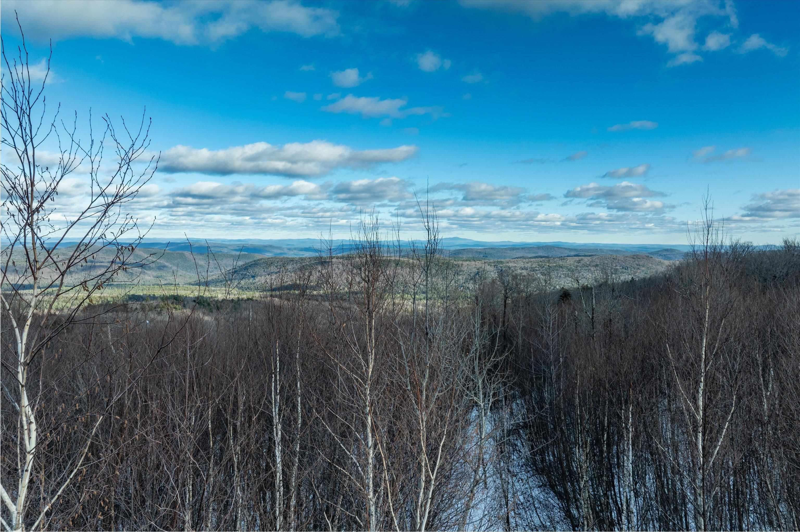Image 4 Image 4