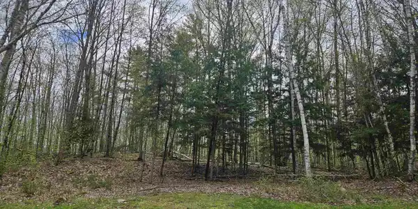 Lot 123 Paulsen Circle