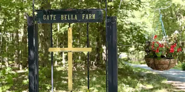 Image 3: Gate Bella Farm