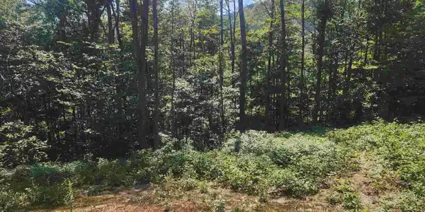 00 Jericho Road