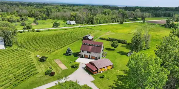 85 Shrine Road