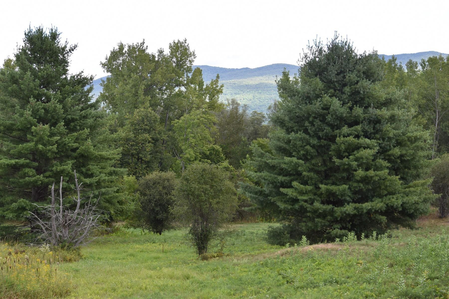 Image 4 Image 4