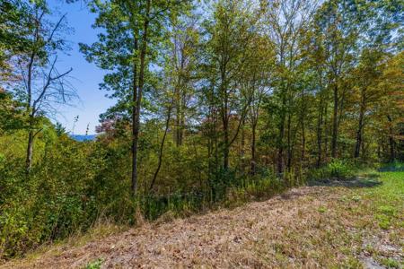5268 Willard Road