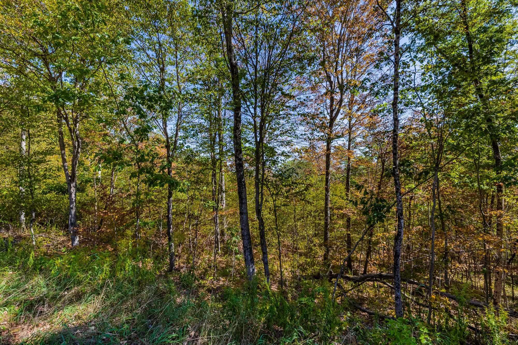 Image 3 Image 3