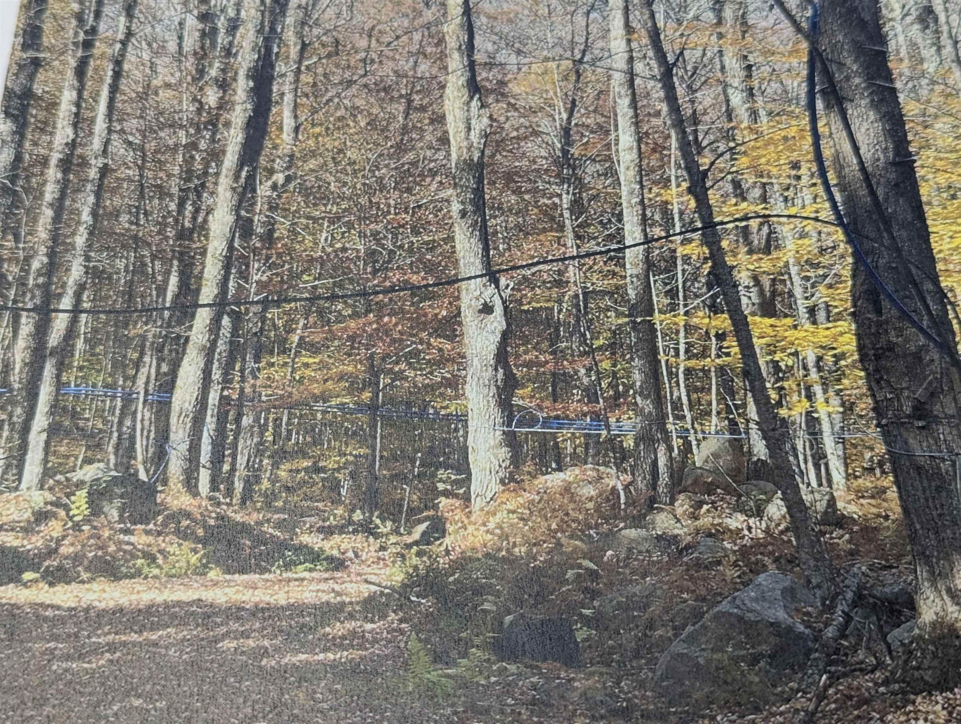 Image 2 Image 2