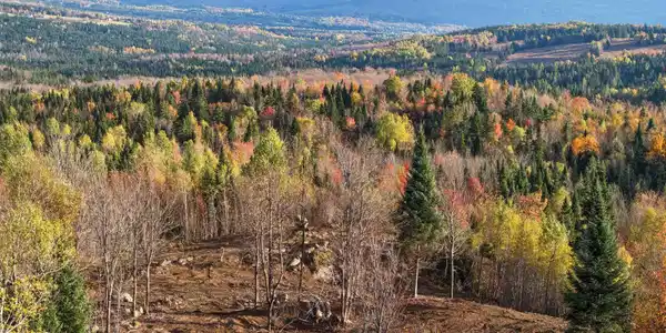 Lot 3 Holden Hill Road