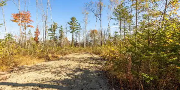 Lot 17 Hartco Avenue
