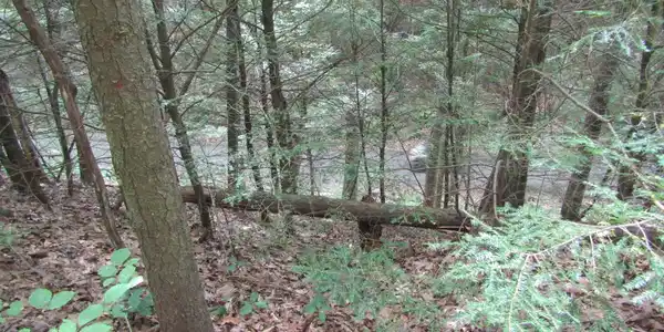 Image 3: rail trail